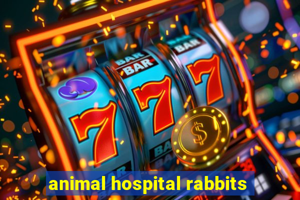 animal hospital rabbits